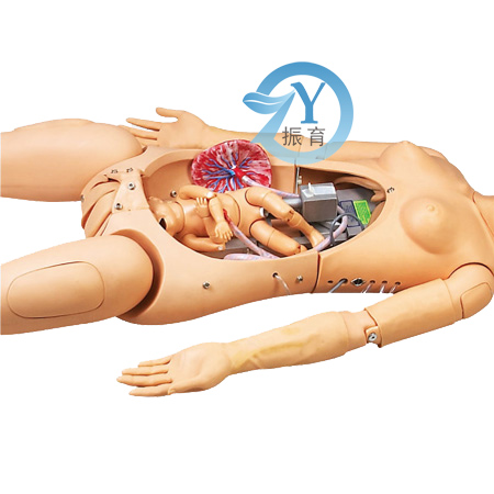 高智能數字化婦產科技能訓練系統(計算機控制)