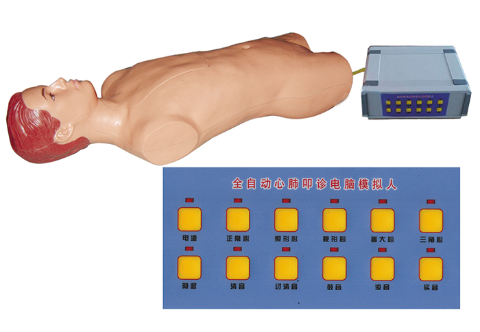 心肺叩診電腦模擬人