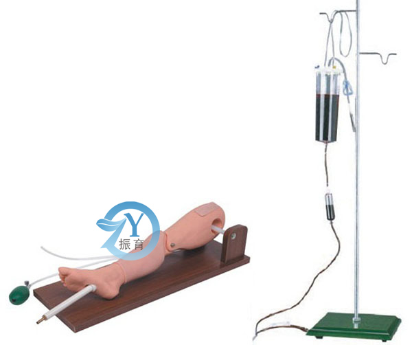 骨穿刺及股靜脈穿刺模型