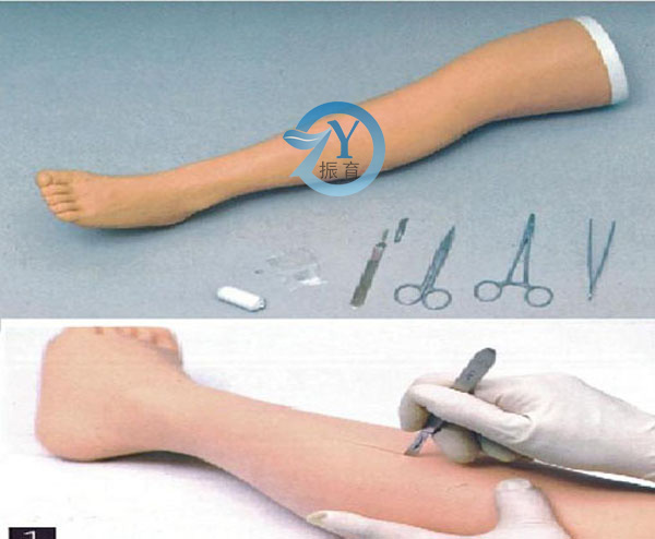 高級外科縫合下肢模型