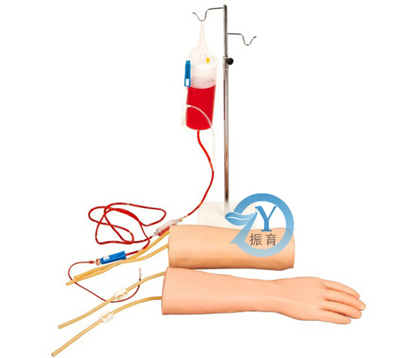 手部、肘部組合式靜脈輸液（血）訓練手臂